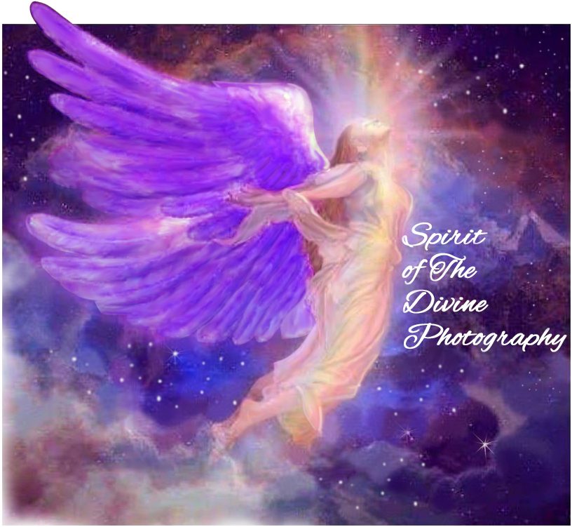 cropped Spirit of the Divine Photography