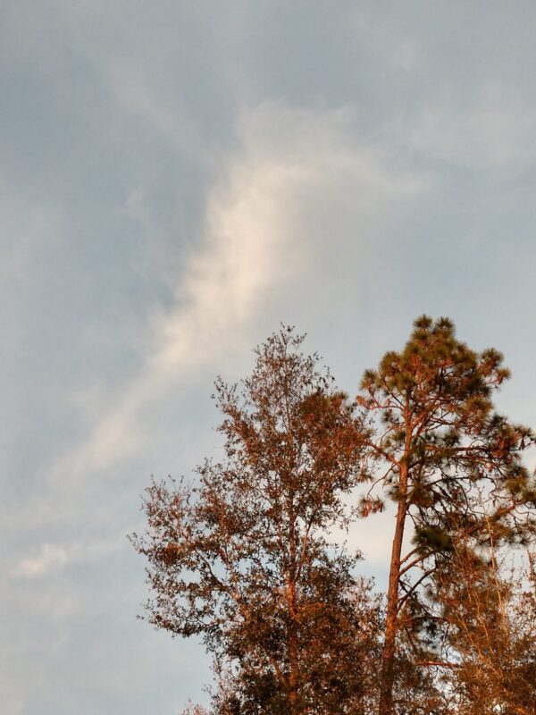 IMG 20220202 175413631 HDR